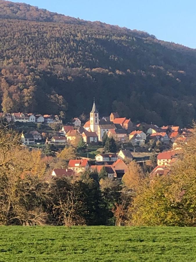 Gite L'Instant Durable Oberbronn Kültér fotó
