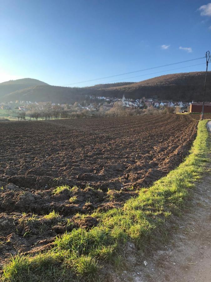 Gite L'Instant Durable Oberbronn Kültér fotó