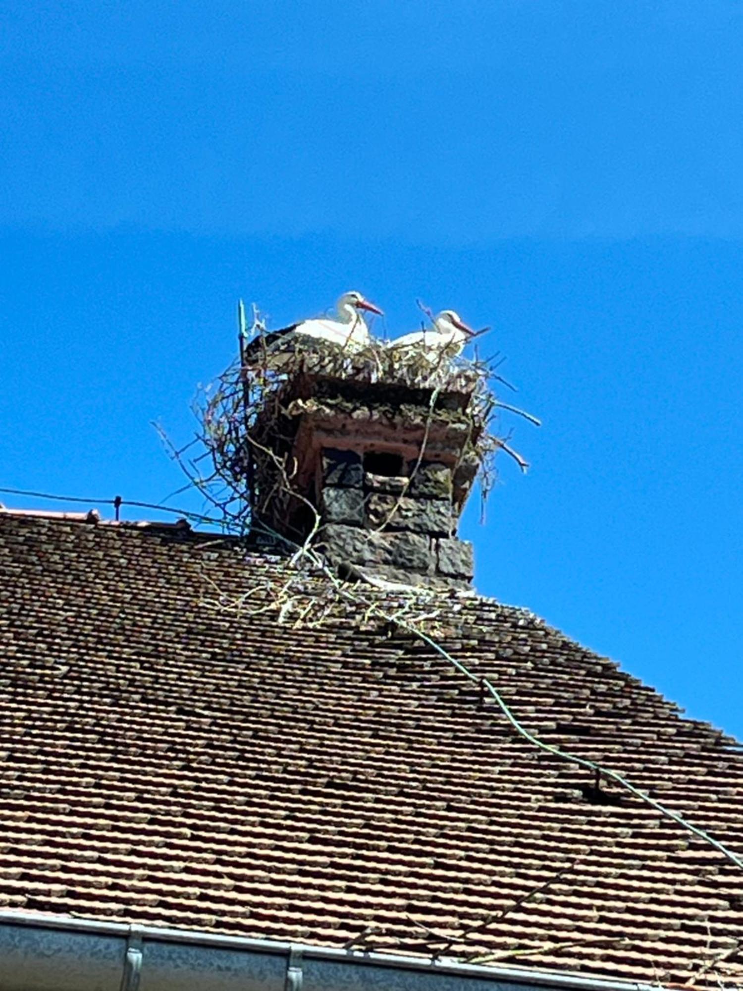 Gite L'Instant Durable Oberbronn Kültér fotó