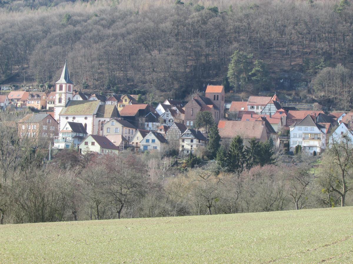 Gite L'Instant Durable Villa Oberbronn Kültér fotó